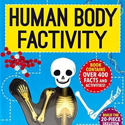Human Body Factivity