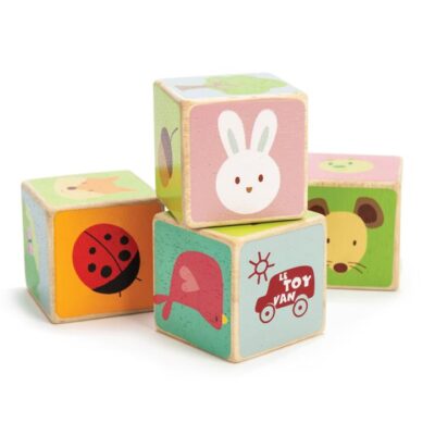 Le Toy Van Petilou Little Leaf Blocks