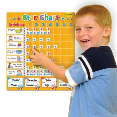 Magnetic Large Family Star Chart