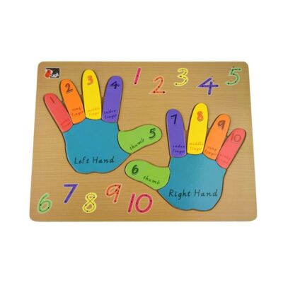 Left and Right Hand Puzzle