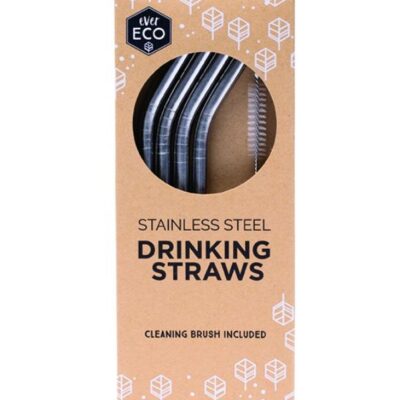 Stainless Steel Angled Drinking Straws 4 Pack and Brush