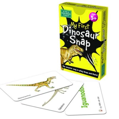 My 1st Dinosaur Snap Cards
