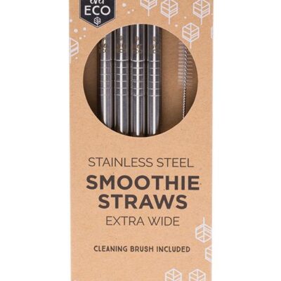 Stainless Steel Smoothie Straws 4 pack and Brush